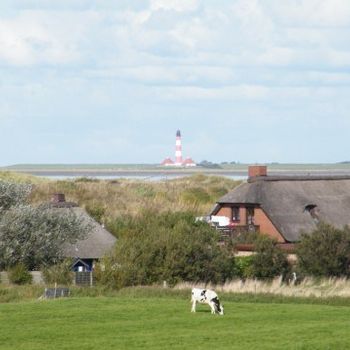 Hundeurlaub Nordsee im Reetdachferienhaus