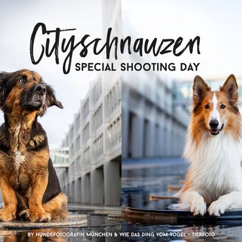 Cityschnauzen - Special Dogshooting Days