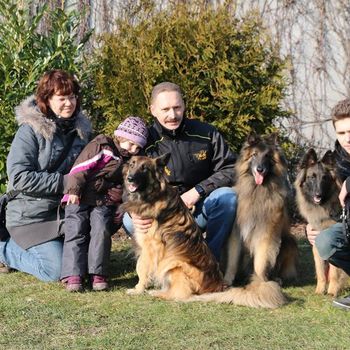 Hundeschule Berlin Kaiser