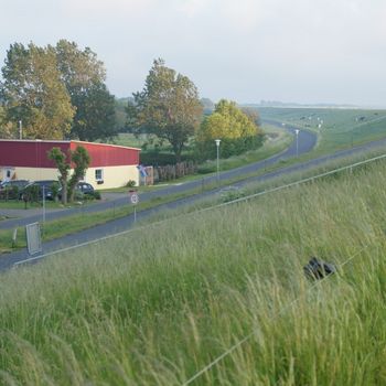 Familienurlaub Nordsee mit Hund Kutterhafen