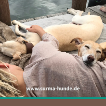 Christine LU.Surma - Mensch und Hund in Beziehung