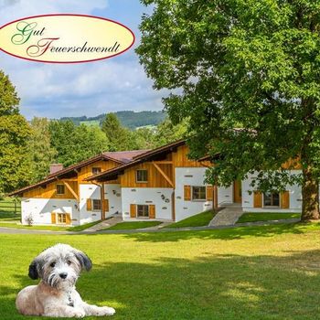 Hundefreundliches Hotel Deutschland