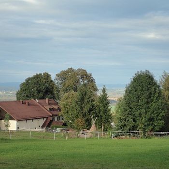 Museum Bayern mit Hund – Freilichtmusem