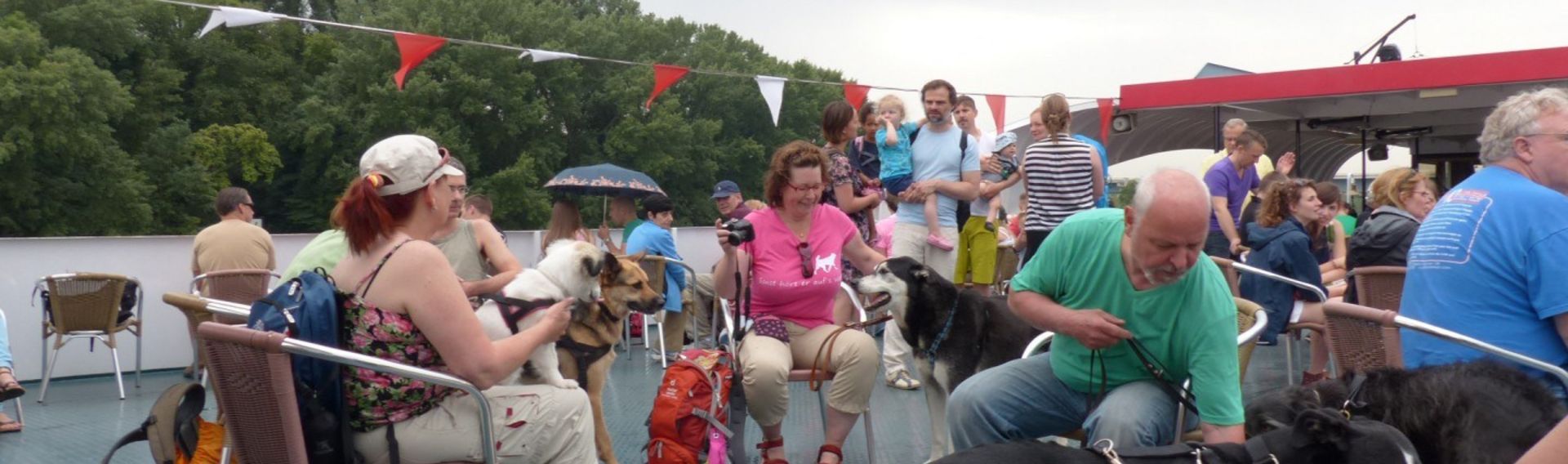 Hundewandertour mit Bootsfahrt auf dem Rhein