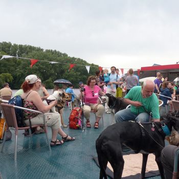Hundewandertour mit Bootsfahrt auf dem Rhein