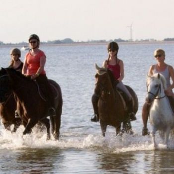 Urlaub für Familien auf dem Ferienhof Wiepert auf Fehmarn