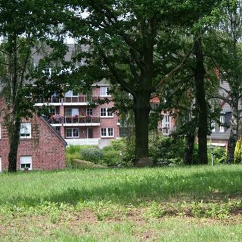 Urlaub Mecklenburgische Seenplatte mit Hund