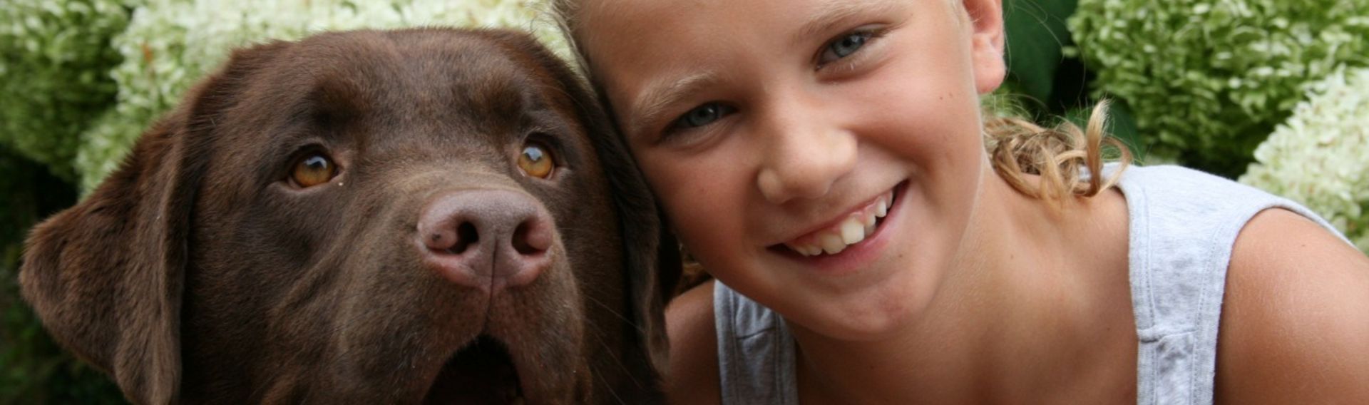 Camping Holland mit Hund Het Winkel