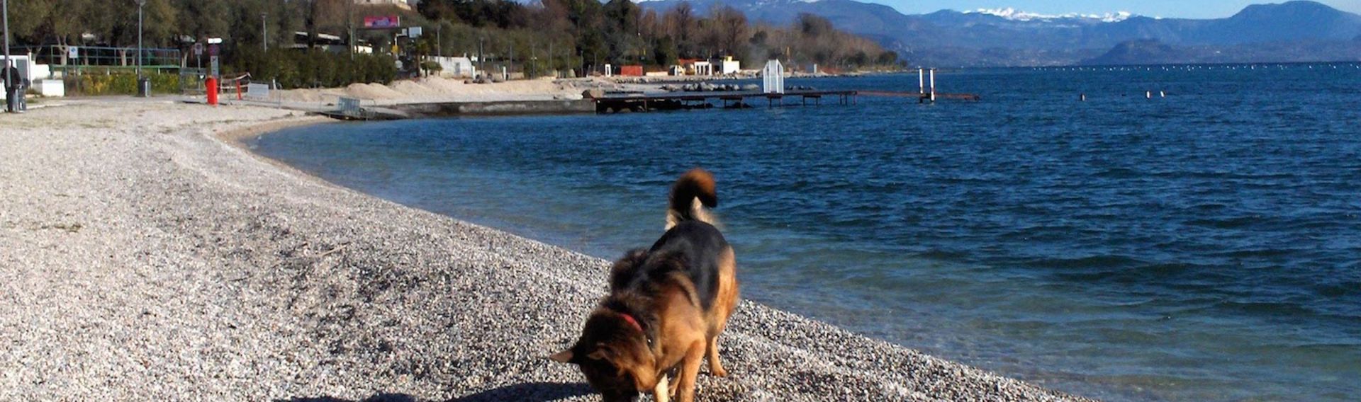 Ferienwohnung Gardasee 2-6 Personen + Hund