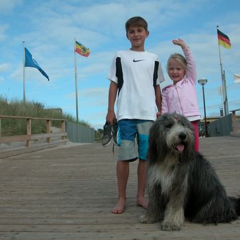 Hundestrand Dierhagen