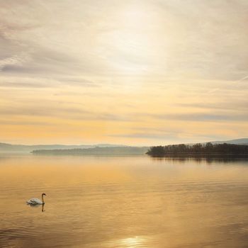 Bodensee Camping mit Hund