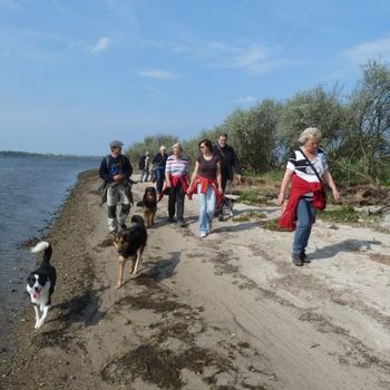 Ostsee Hundeschule am Meer