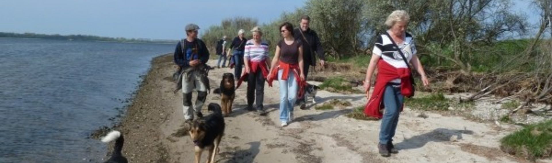 Ostsee Hundeschule am Meer