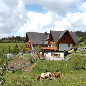 Schwarzwaldurlaub mit Hund, 2 gemütliche Ferienwohnungen