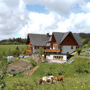 Schwarzwaldurlaub mit Hund, 2 gemütliche Ferienwohnungen