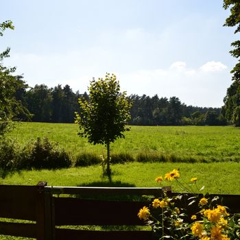 Holzhäuschen in Alleinlage am Wald an der Mecklenburger Seenplatte