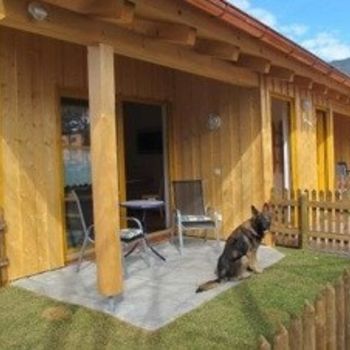 Hundsporthotel im Oberammergau – Hundeseminare im Hotel Wolf