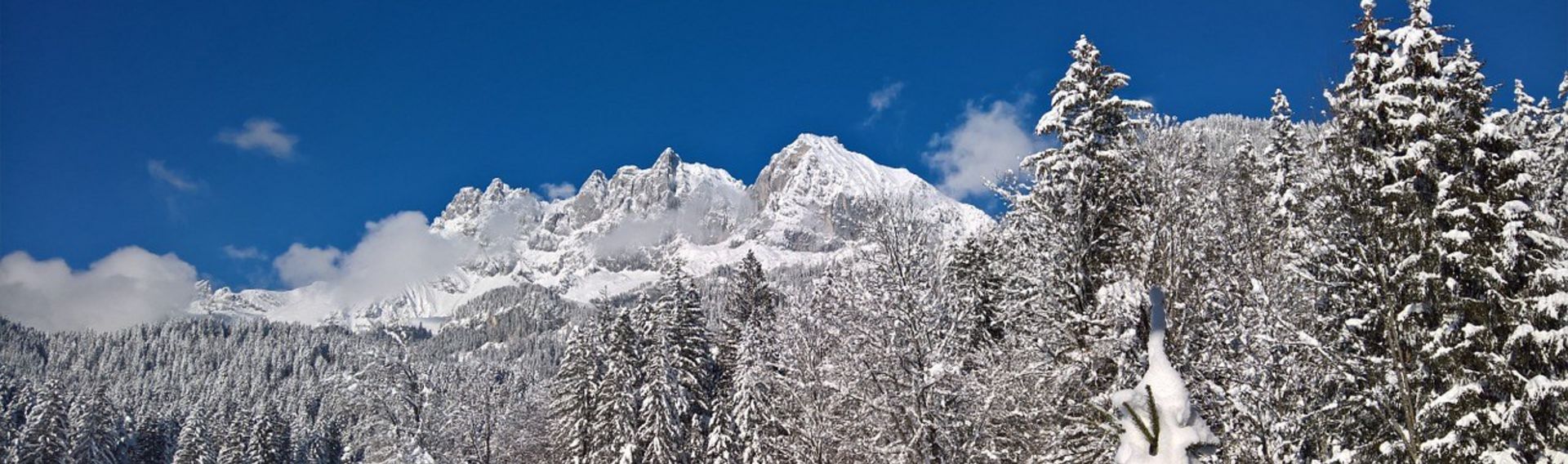 Winterferien mit Familie und Hund in Tirol – Hundeloipe Achensee