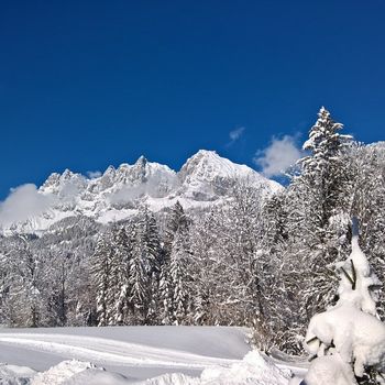 Winterferien mit Familie und Hund in Tirol – Hundeloipe Achensee