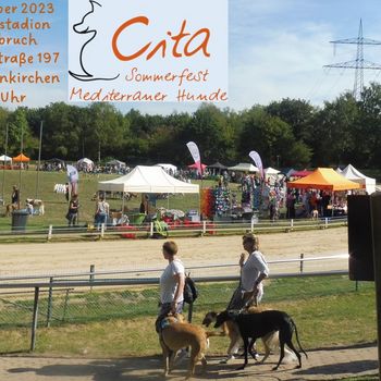 CITA - Sommerfest mediterraner Hunde