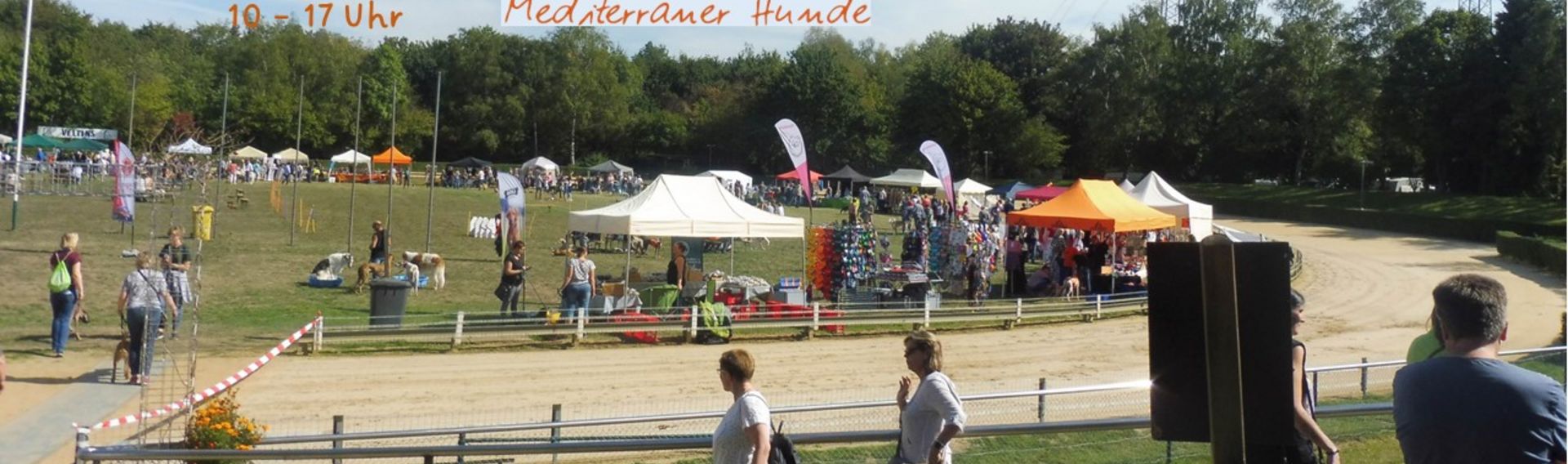 CITA - Sommerfest mediterraner Hunde