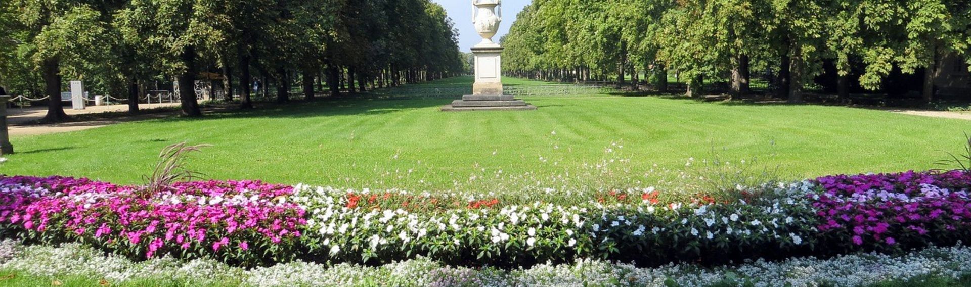 Dresden mit Hund Sehenswürdigkeiten