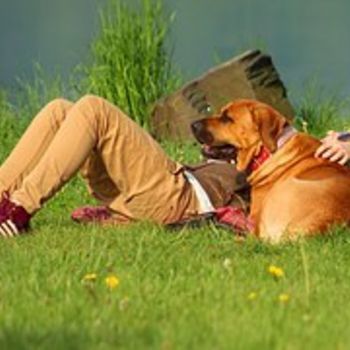 Pellworm mit Hund Badestelle Hooger Fähre