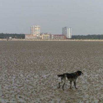 Ferienwohnung mit Hallenbad Cuxhaven am Sandstrand