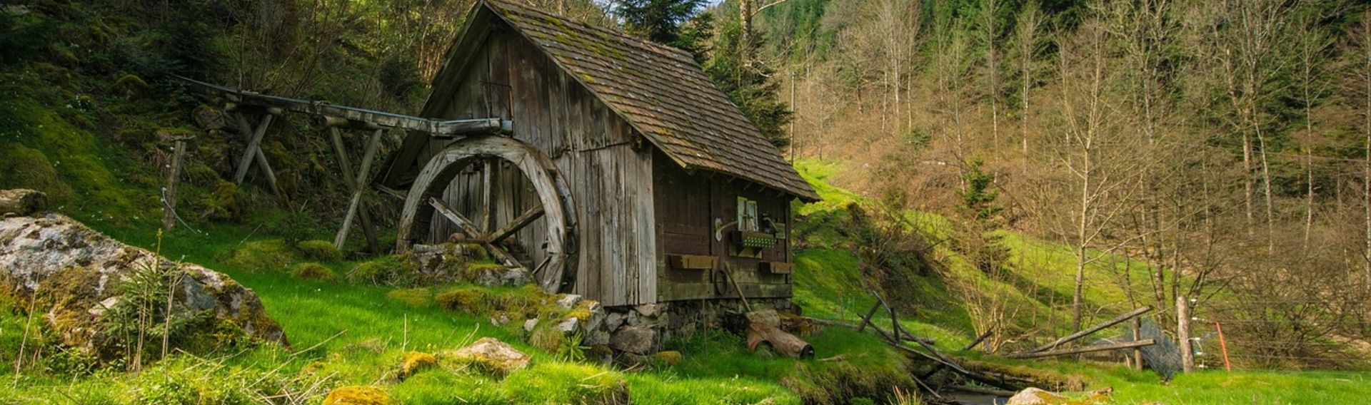 Schwarzwald Tourismus Urlaub mit Hund