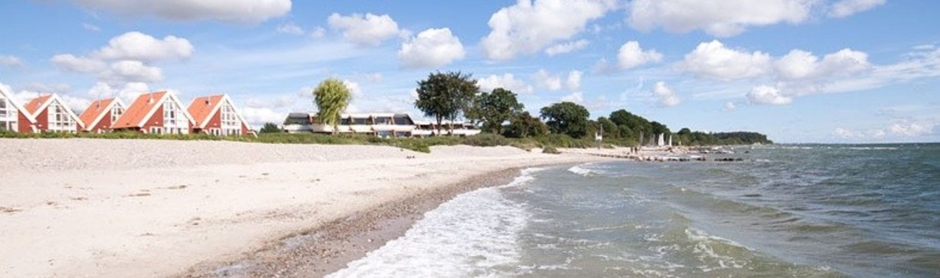 Strandhaus Ostsee mit Hund