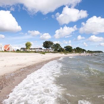 Strandhaus Ostsee mit Hund