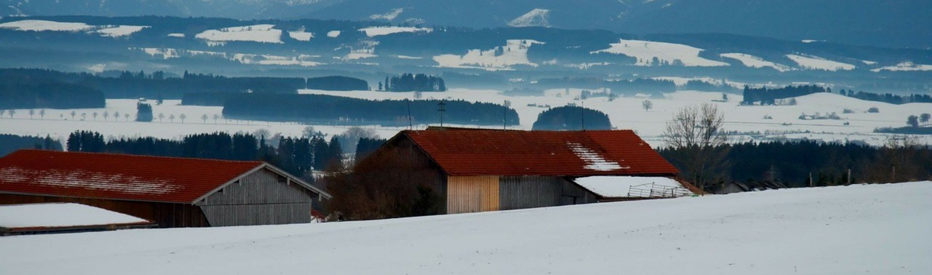 Gasthof Bayerischer Wald Alpe