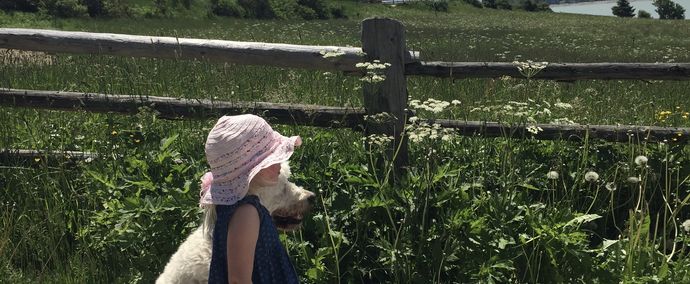 Familienurlaub in Südtirol mit Hund