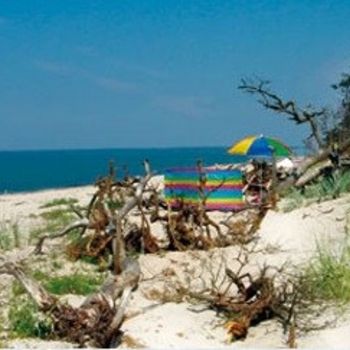 Campingplatz Ostsee direkt am Meer