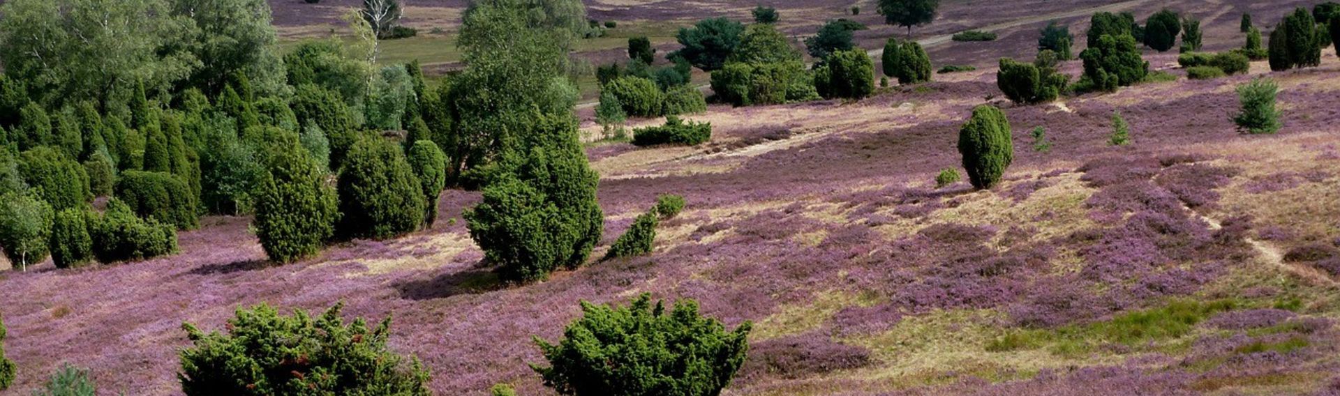 Lüneburger Heide Camping