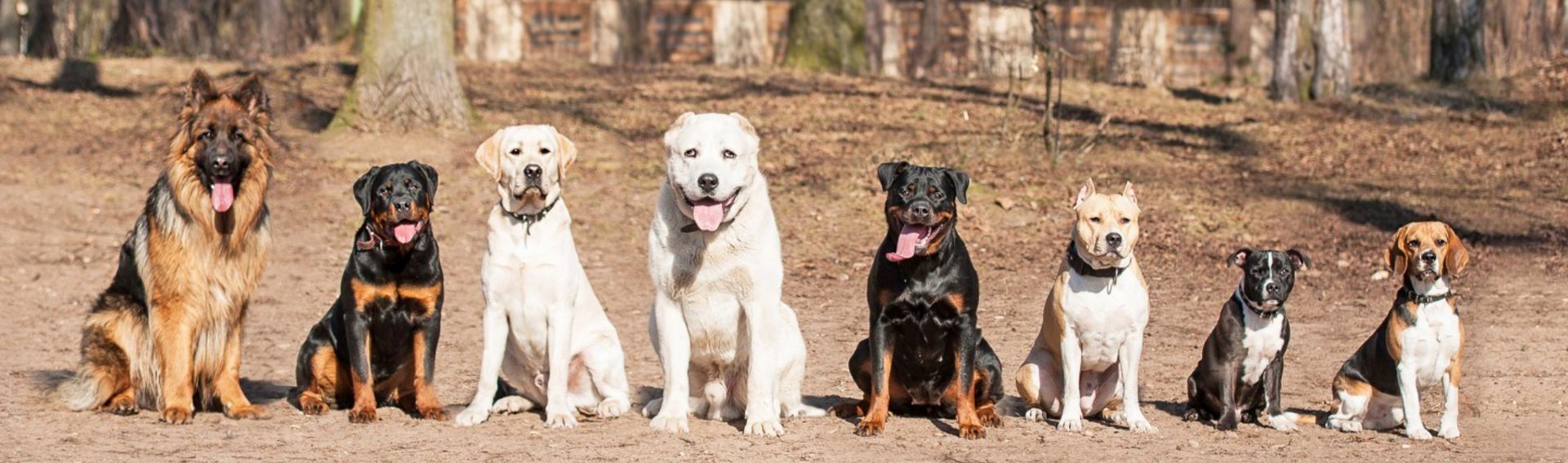 Hotel mit Hund Lippstadt