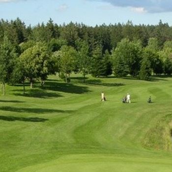 Golfen Schwarzwald – Golfclub finden in der Natur, Schnupperkurse