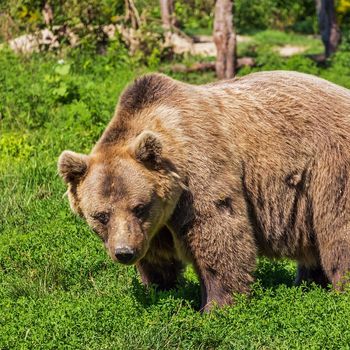 Alternativer Bärenpark Worbis – Thüringen