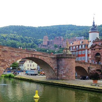 Schloss Heidelberg und Schlossgarten mit Hund