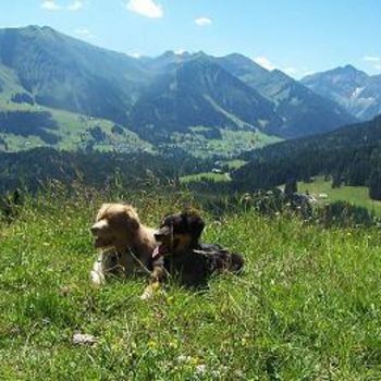 Wanderurlaub mit Hund in Österreich